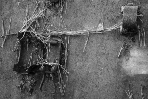 Rost mit Kiefernnadeln