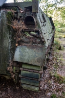 Schützenpanzer a D
